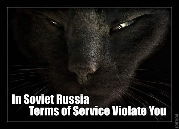 CUTE CAT THEORY visual data 7